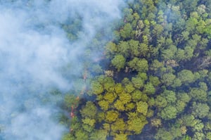 AdobeStock_434466436